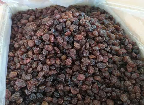 خرید و قیمت روز کشمش پلویی مرغوب