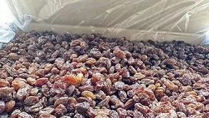 خرید و قیمت انواع کشمش آفتابی طبیعی